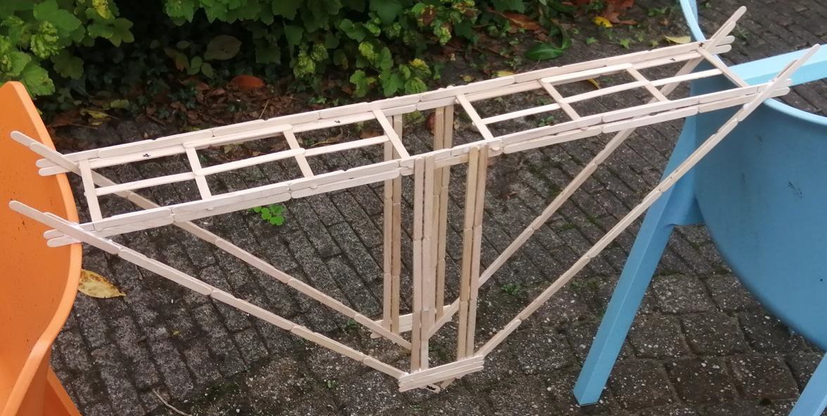 Afbeelding met buiten, grond, plant, plaats  Automatisch gegenereerde beschrijving